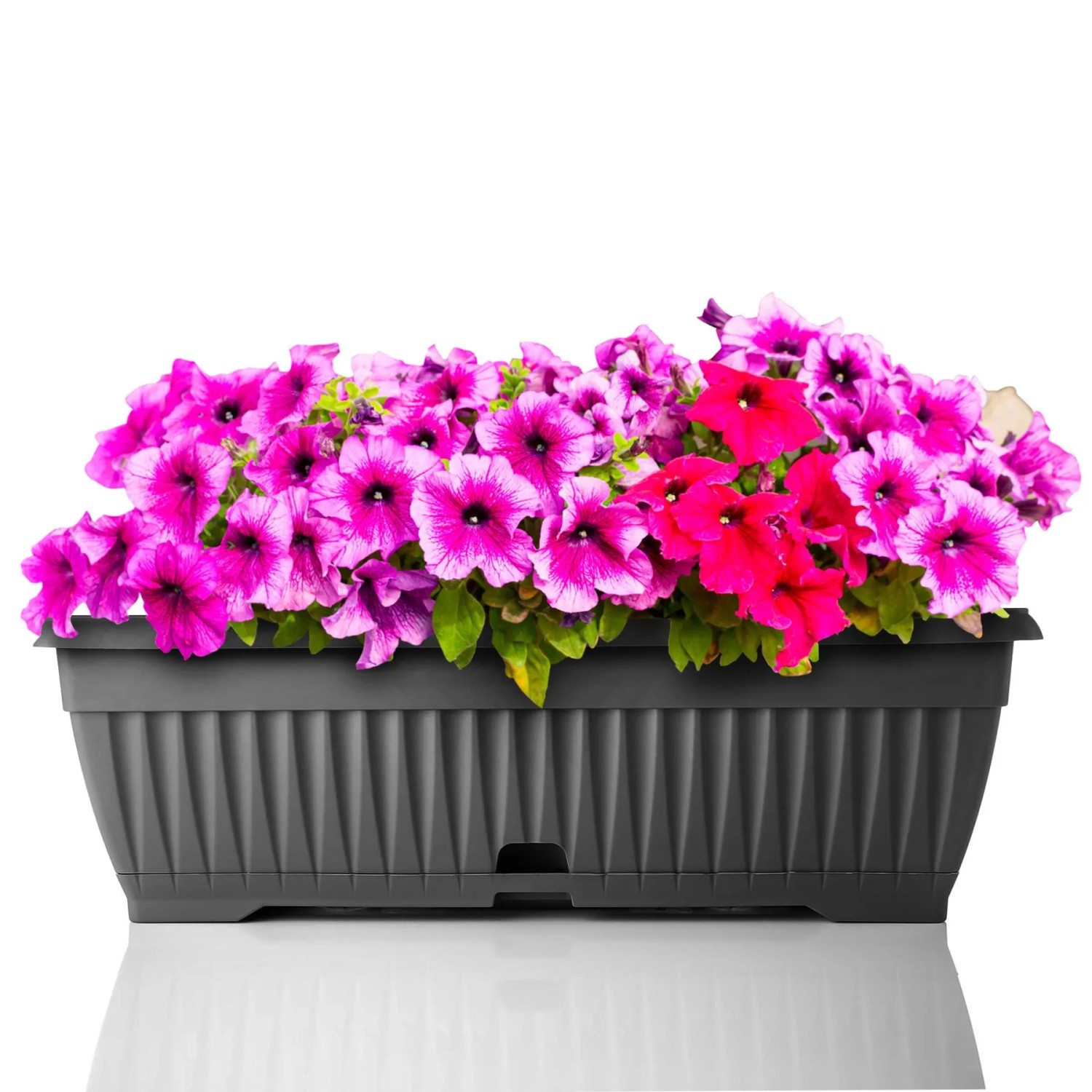 BigDean Blumenkasten Mit Abnehmbarem Untersetzer Anthrazit 50 Cm Lang Aus Bruchsicherem Kunststoff Balkonkasten Pflanzkasten Mit Wasserspeicher BigDean Blumenkasten mit abnehmbarem Untersetzer - Anthrazit 50 cm,ang aus bruchsicherem Kunststoff - Balkonkasten Pflanzkasten mit Wasserspeicher