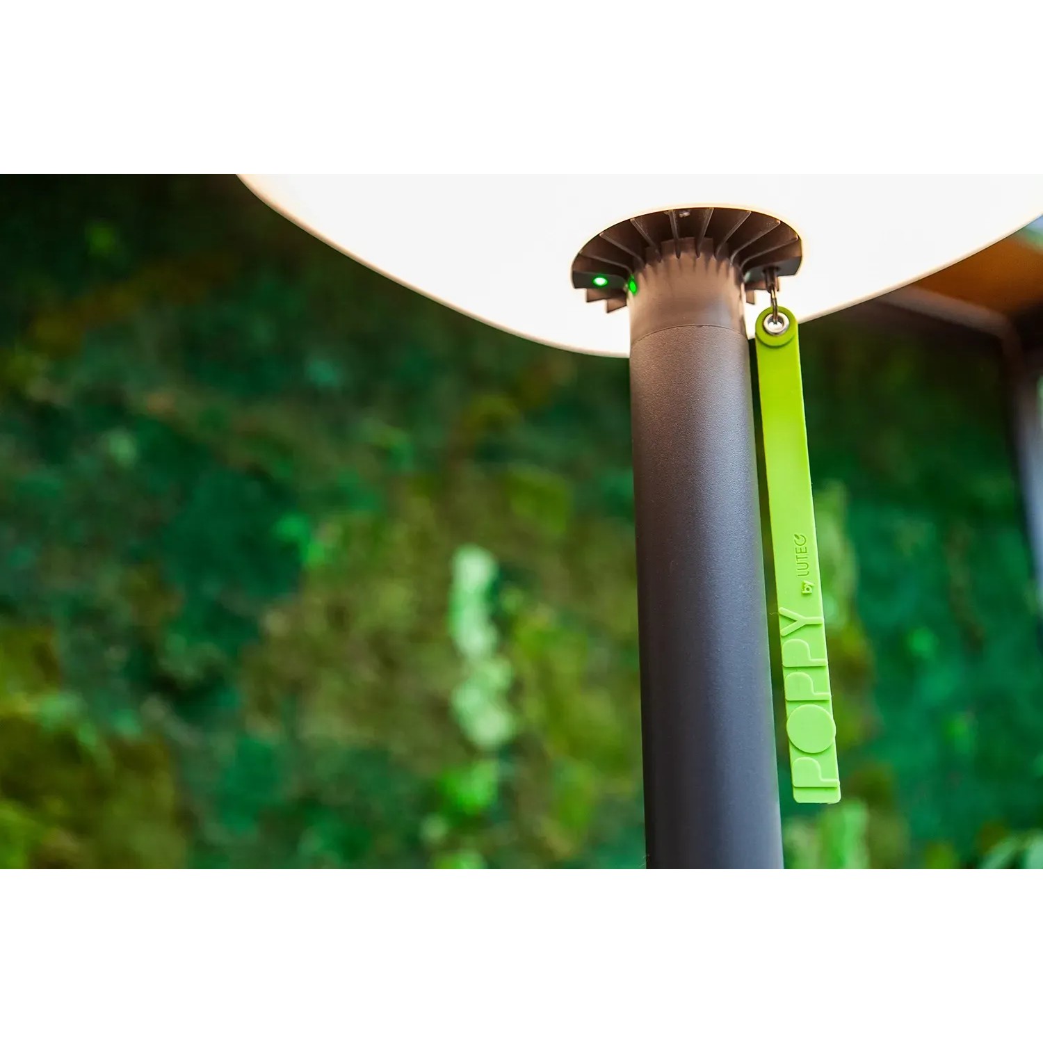 Lutec LED Solar Stehleuchte Poppy, anthrazit-grün, dimmbar, mit Bluetooth Funktion.