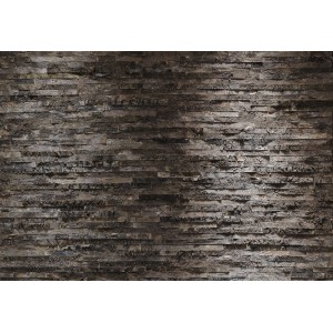 Komar Fototapete Birkenrinde, 368x254 cm, detailreiche Steinwand-Optik für Wohnräume.