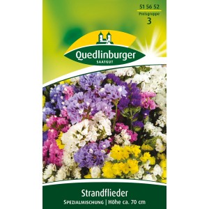 Samenpackung Quedlinburger Strandflieder 'Spezialmischung' mit bunten Blüten.