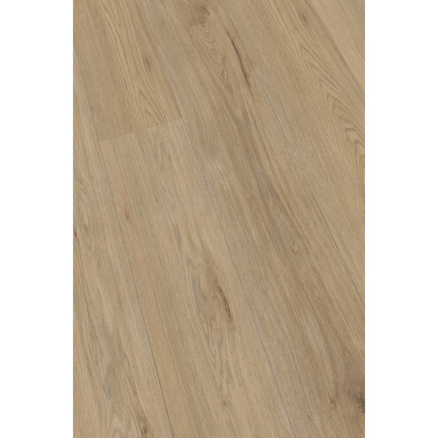 Click-Vinylboden San Antonio Oak Diele Town günstig online kaufen