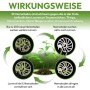 Grafik zur Wirkungsweise von NemaTaurus SF Nematoden gegen Trauermücken und Thripse.