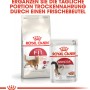 Royal Canin Fit Trockenfutter & Feuchtfutter für aktive Katzen.