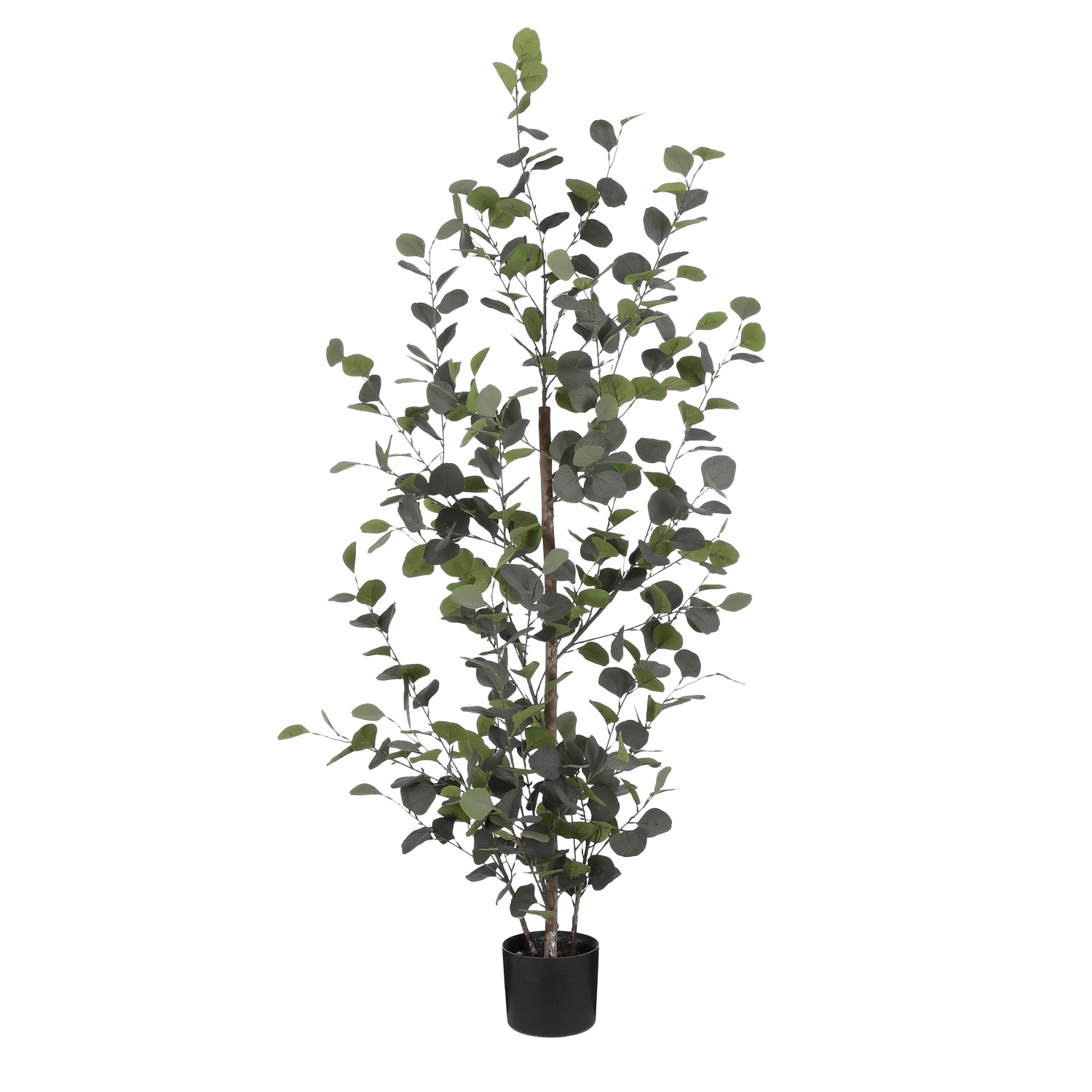 MICA künstlicher Eukalyptus 150 x 30 cm kaufen bei OBI
