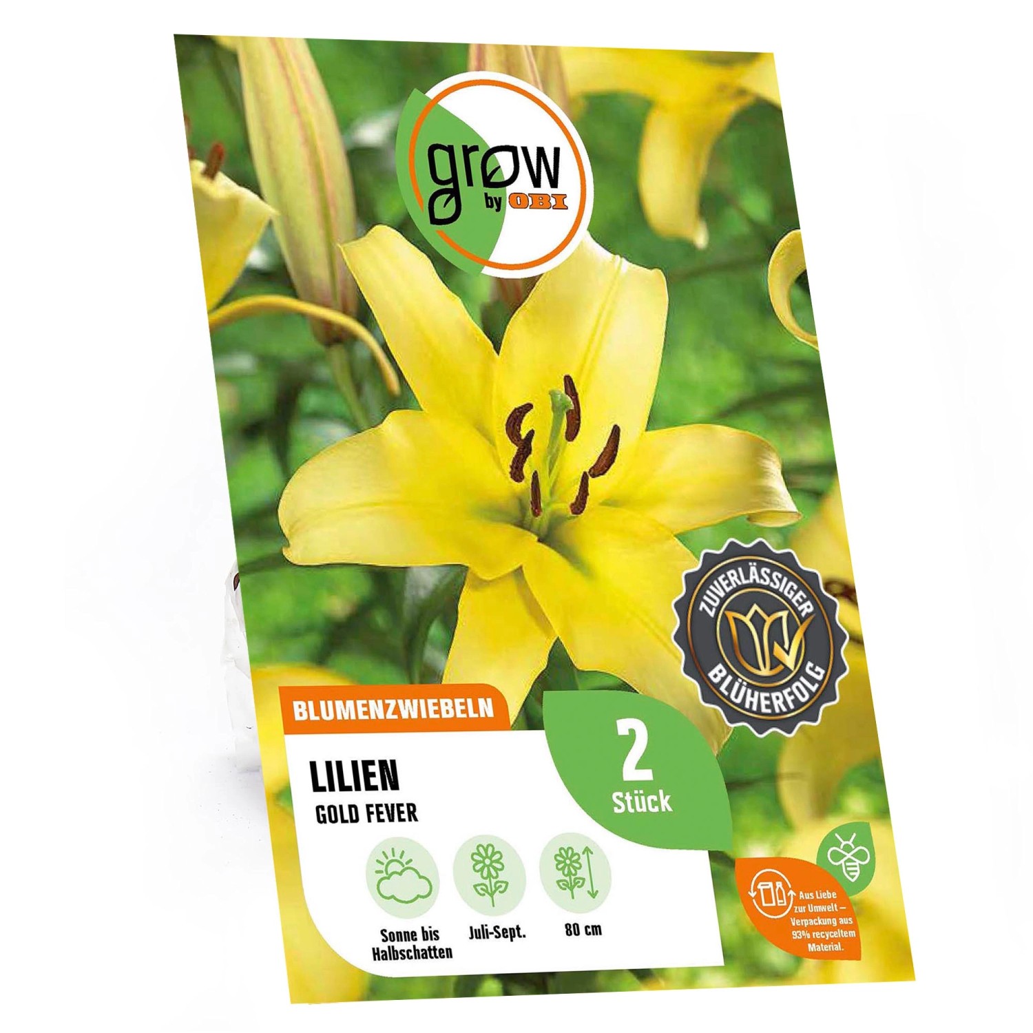 GROW by OBI Lilie "Oriental Gold Fever" Höhe ca. 80 cm Lilium oriental
