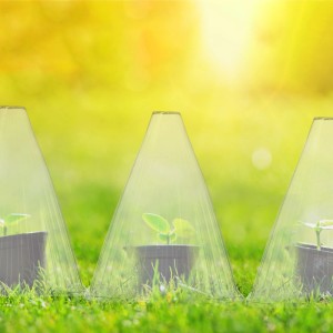 32er Set transparente Relaxdays Pflanzenhüte aus PVC zum Schutz von Jungpflanzen.