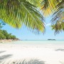 Komar Fototapete Vlies: Traumstrand mit Palmen für ein entspanntes Ambiente.
