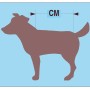 Grafik: So messen Sie die Rückenlänge für Hundepullover