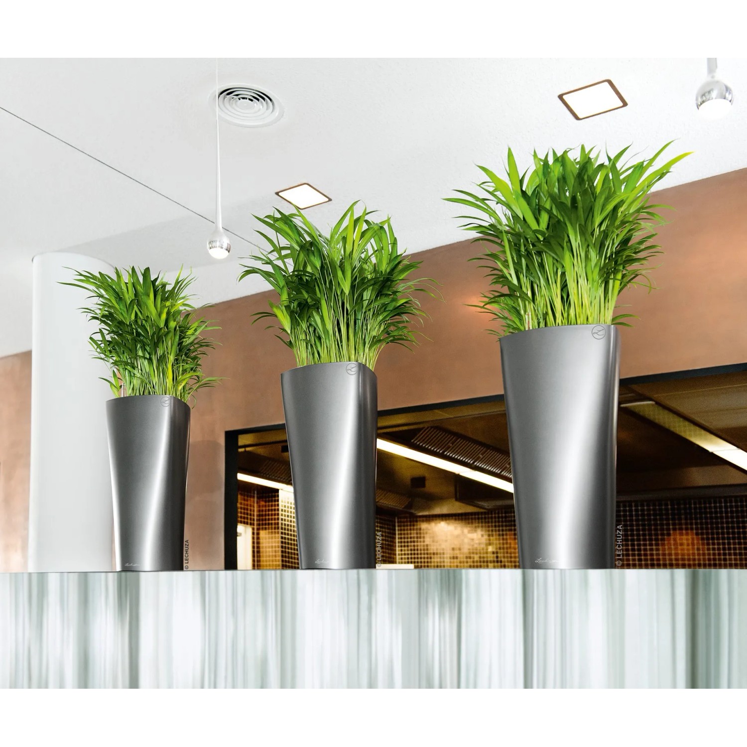 Lechuza Delta Premium Pflanzgefäß, anthrazit metallic, mit grünen Pflanzen in modernem Ambiente.
