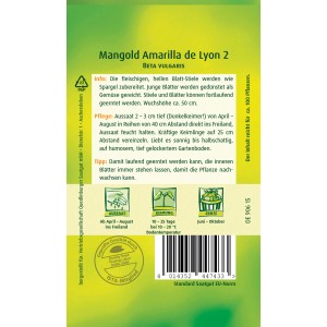 Samenpackung Quedlinburger Mangold 'Amarilla de Lyon 2', Gemüsesamen für den Garten.