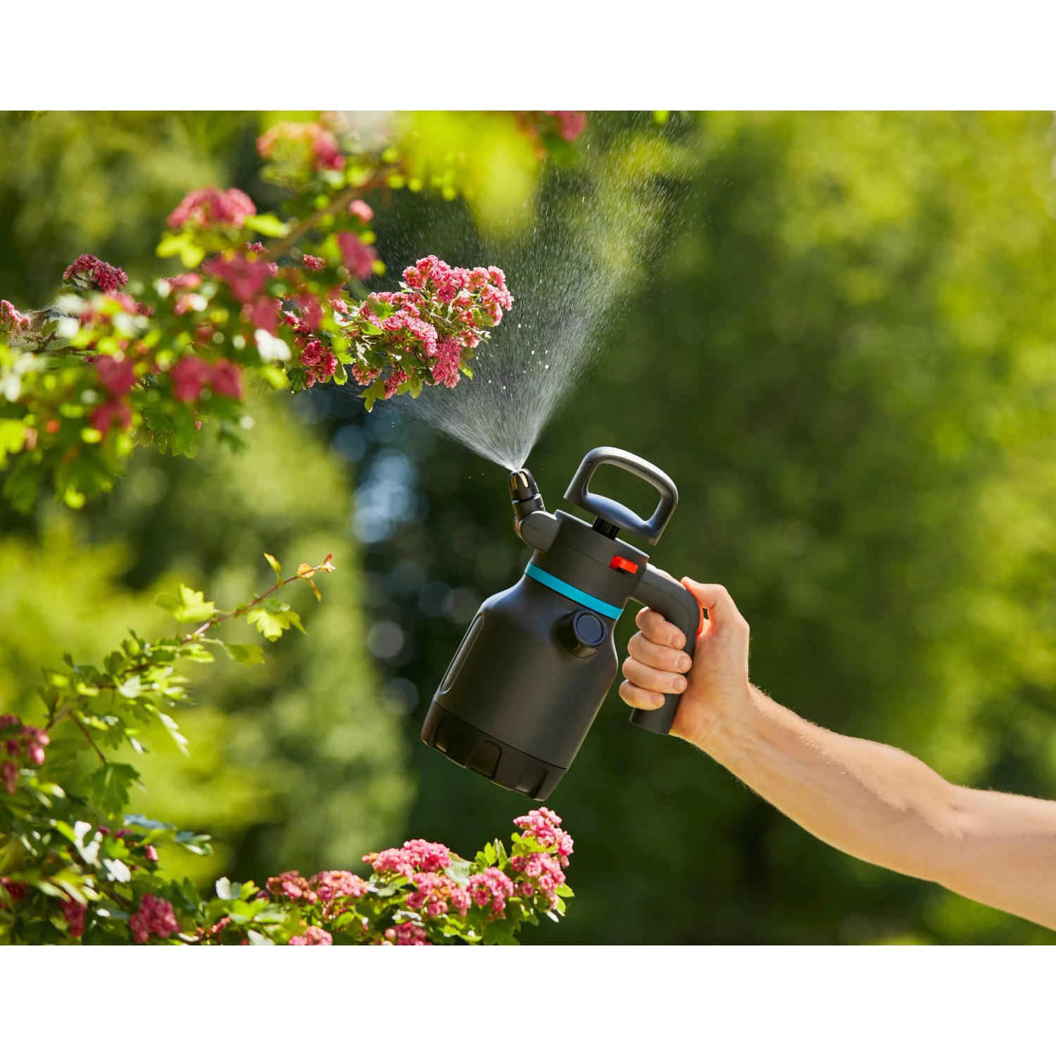 Gardena Drucksprüher 1,25 l in Aktion: Hand sprüht Wasser auf Blumen. Ideal für Garten und Terrasse.