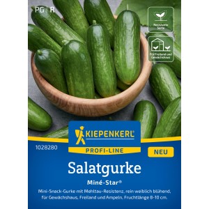 Kiepenkerl Salatgurke Miné-Star Samen: Mini-Gurken in Holzschale, widerstandsfähige Sorte für Garten & Gewächshaus.