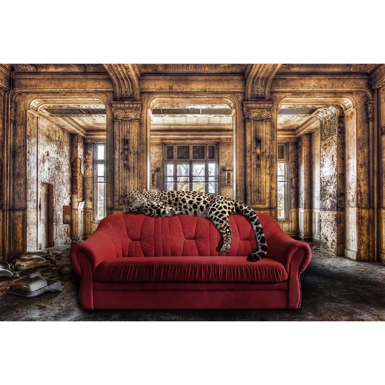 Art Universe Leinwandbild Relaxing Leo 100 x 150 cm