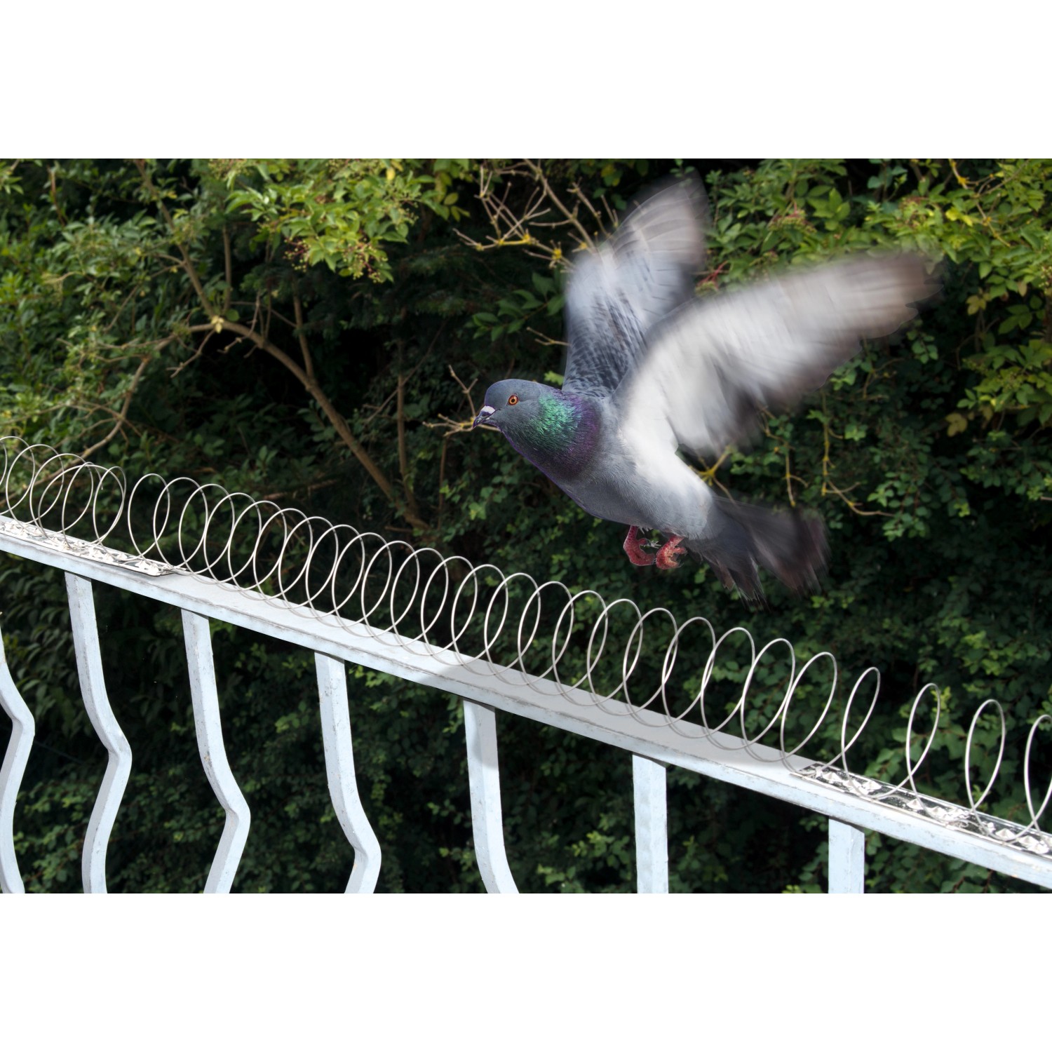Gardigo Vogel-Frei Windmühle Vogelscheuche Vogelschreck - Foto 5