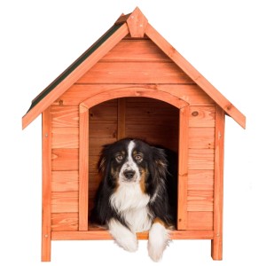 Braun lasierte Tectake Hundehütte Bailey aus Holz mit Hund im Inneren.