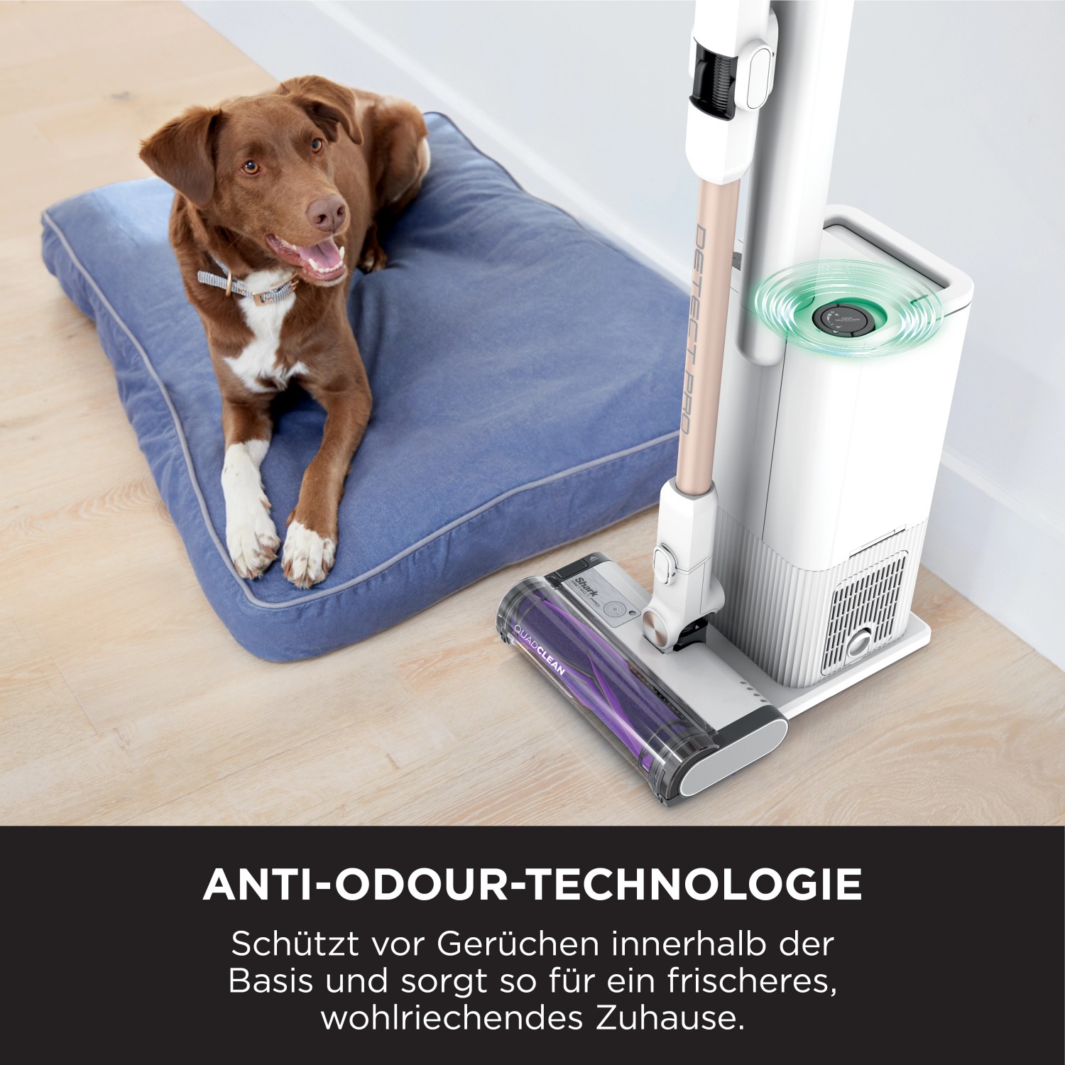 Shark Akkusauger Detect Pro mit Absaugstation und Hund auf Kissen.