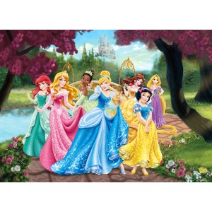 Disney Fototapete mit Prinzessinnen in Rosa, Gelb und Blau vor einem Märchenschloss.