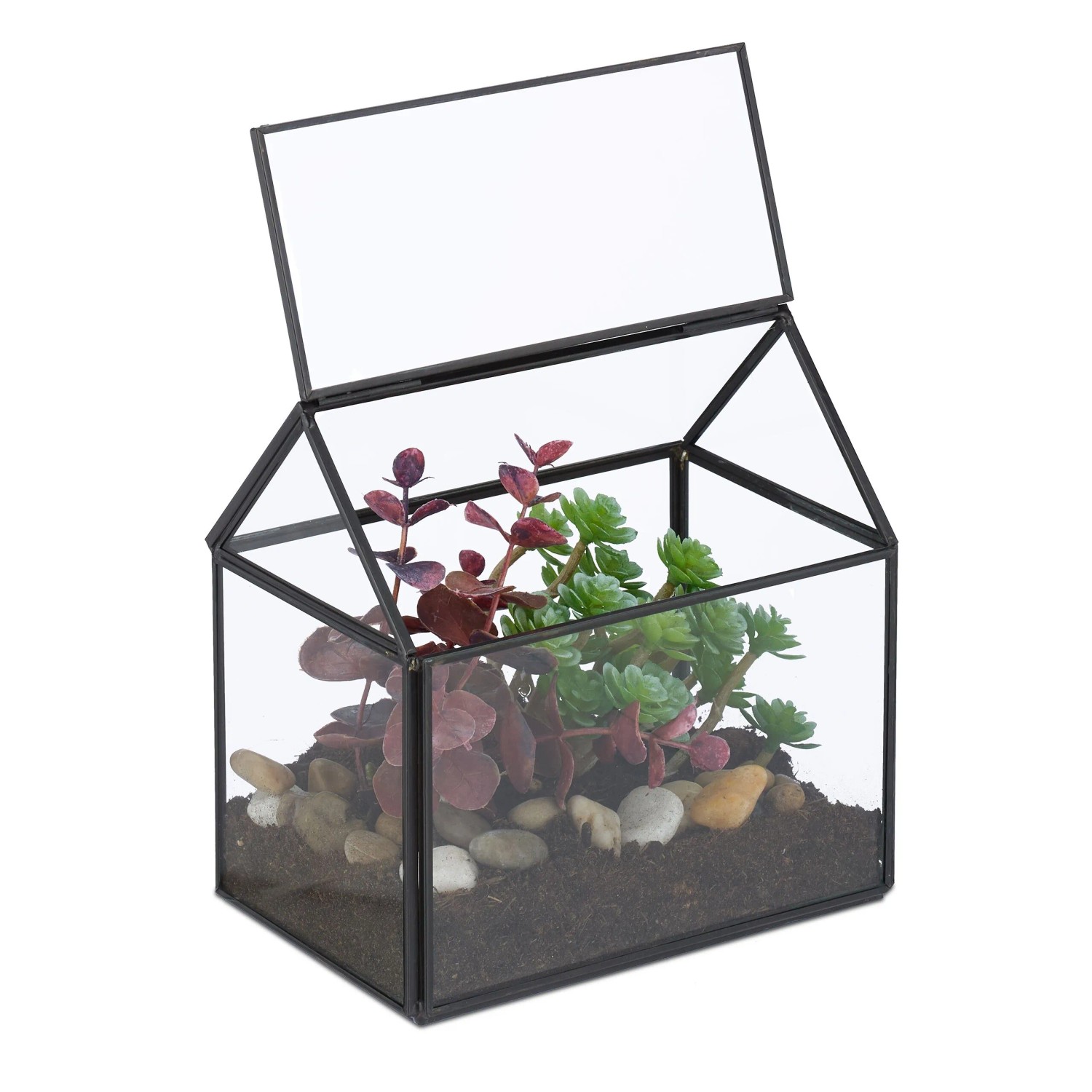 Relaxdays Pflanzenterrarium Glas Schwarz Mit Dachfenster 15 cm x 15 cm x 10 cm 0,6 kg