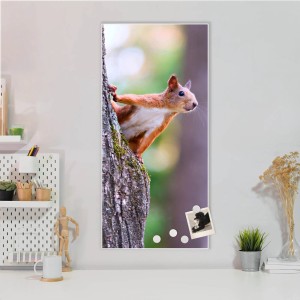 Weiße Magnettafel 37x78cm mit Eichhörnchen-Motiv als Wanddekoration.