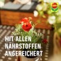 Blühende Pflanze im Topf mit Compo Langzeit Blumendünger für langanhaltende Blütenpracht.