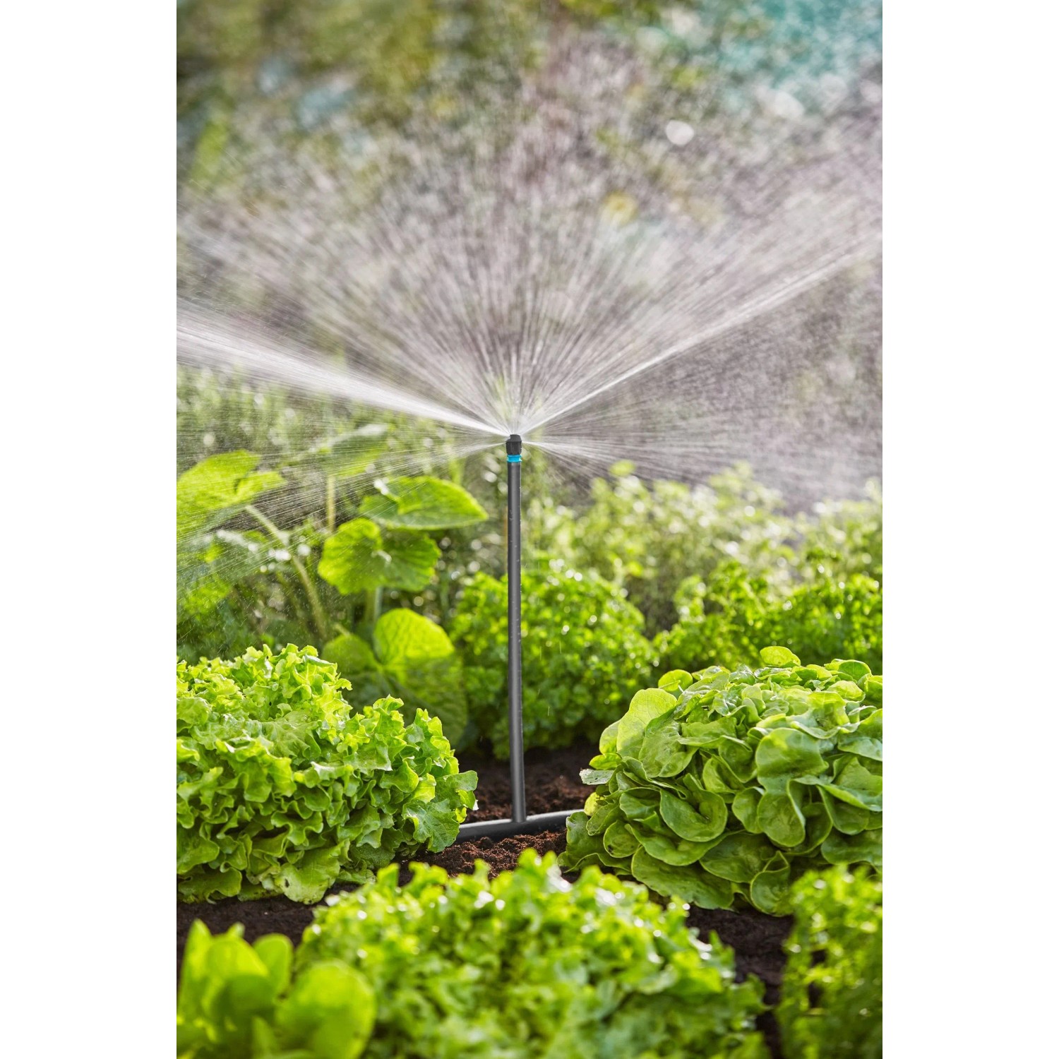 Gardena Tropfbewässerung Set für Gemüse- und Blumenbeete im Einsatz.