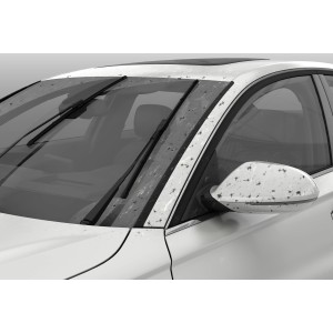 Autofrontscheibe verschmutzt, gereinigt mit Dr. Wack CW1:100 Super Scheibenreiniger.