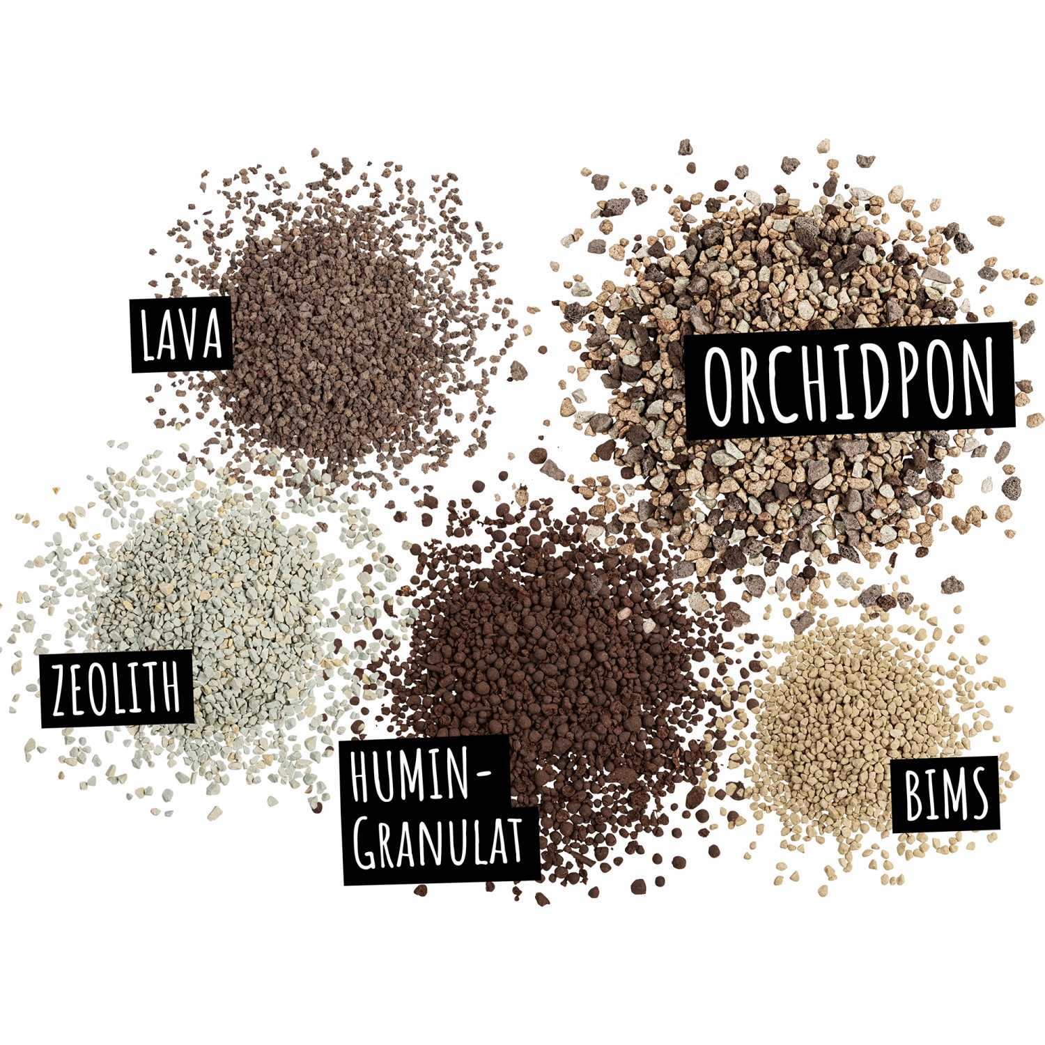 Bestandteile des Lechuza Orchidpon Orchideensubstrats: Lava, Bims, Zeolith, Humingranulat.