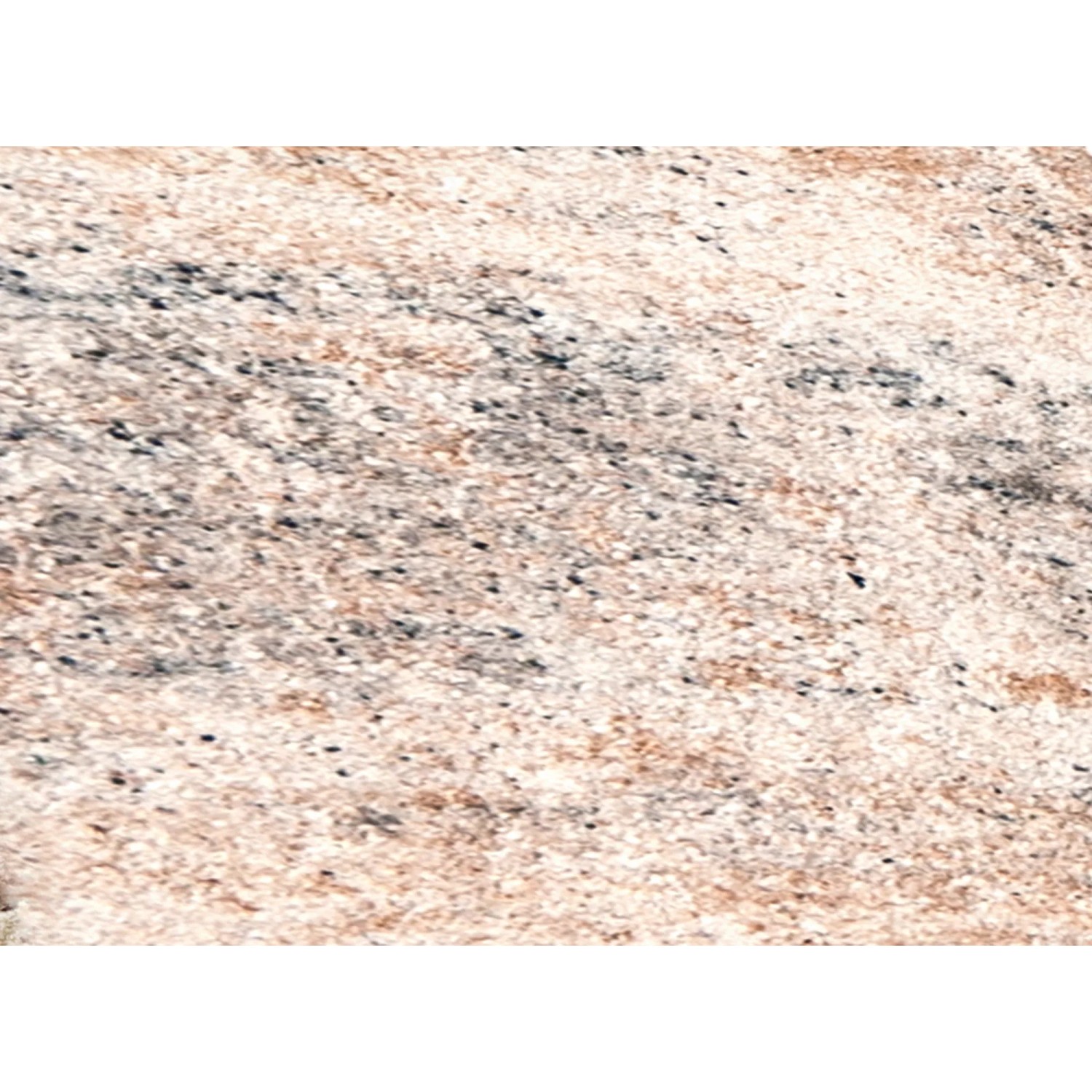 Diephaus Pflasterstein Ringo Muschelkalk, 20x15x5 cm, Nahaufnahme der Oberfläche.