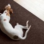Brauner Primaflor Sauberlauf Picollo Teppichläufer mit Hund im Flur.