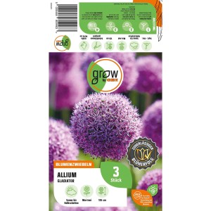 GROW by OBI Zierlauch Gladiator, lila Blütenkugeln, 3 Stück. Blumenzwiebeln für Beet und Kübel.