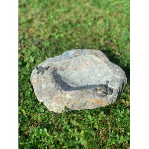 Vogeltränke aus Granit mit Bronze-Frosch und Eidechse im Garten.