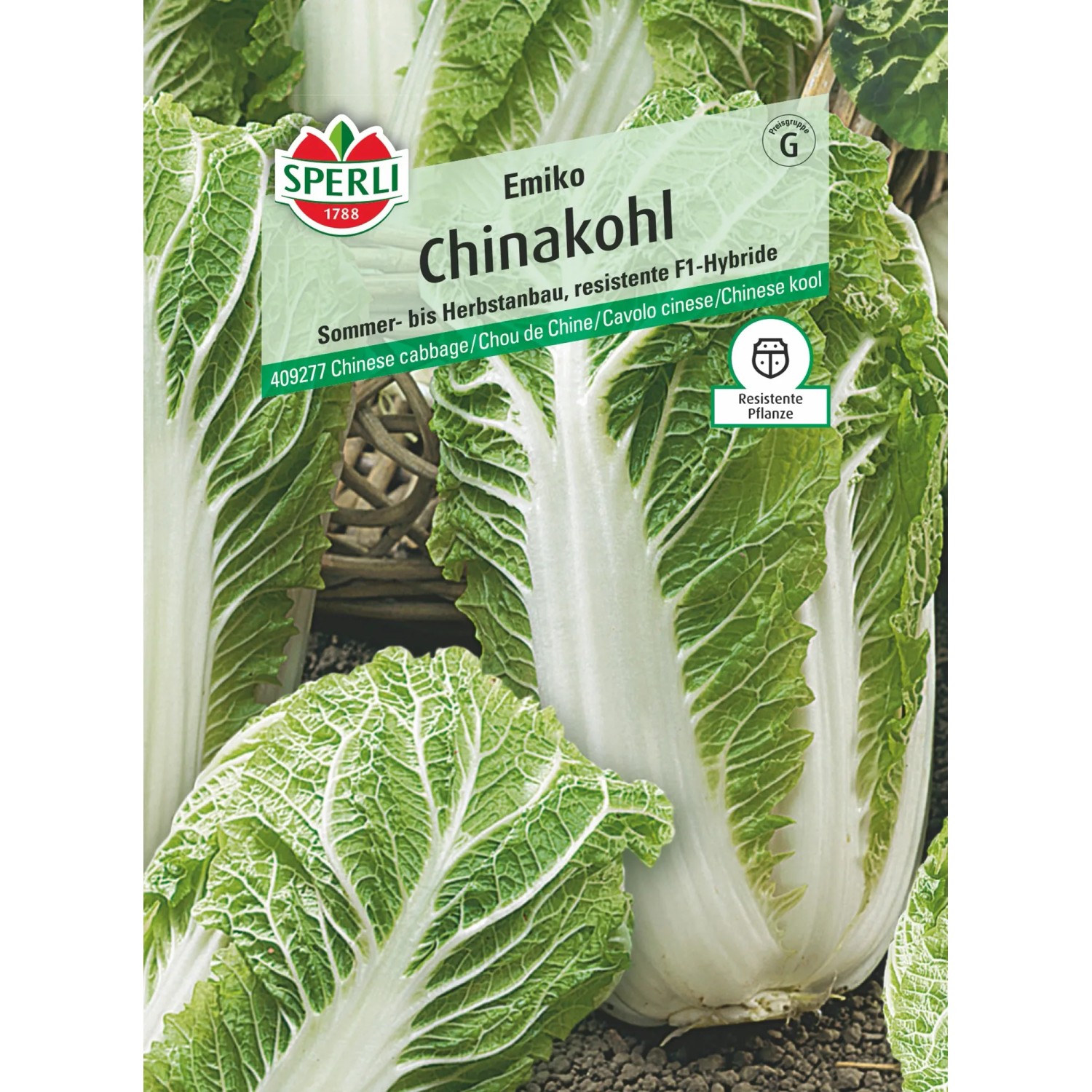 Sperli Chinakohl "Emiko" F1-Hybride
