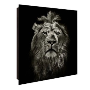 Schwarzer Schlüsselkasten mit Löwen-Porträt auf Glasfront, 50 Haken, magnetisch und beschreibbar.