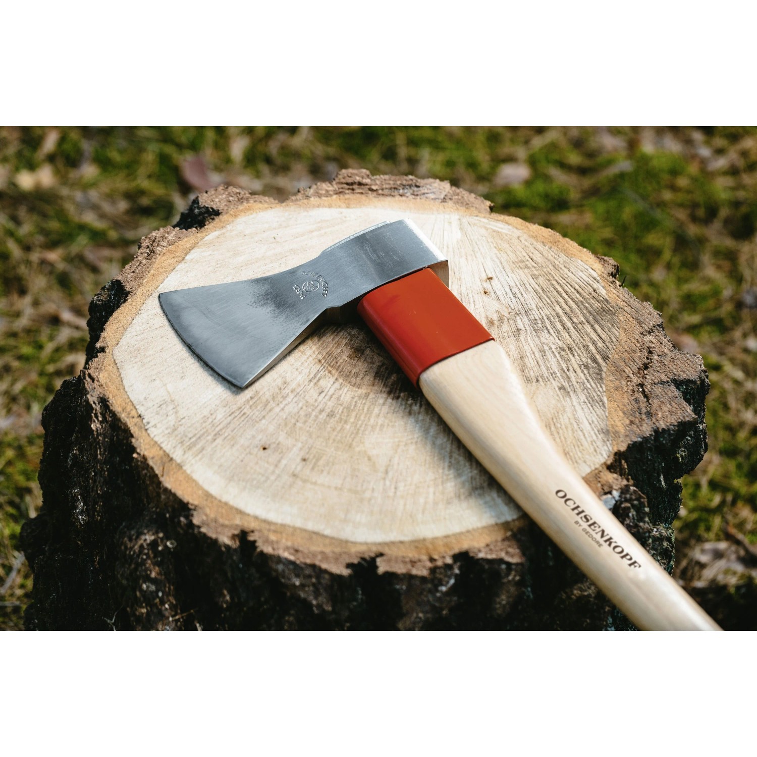 Ochsenkopf Forstaxt Universal Gold auf Baumstumpf. Axt mit Stahl-Stielschutzhülse und Hickory-Stiel.