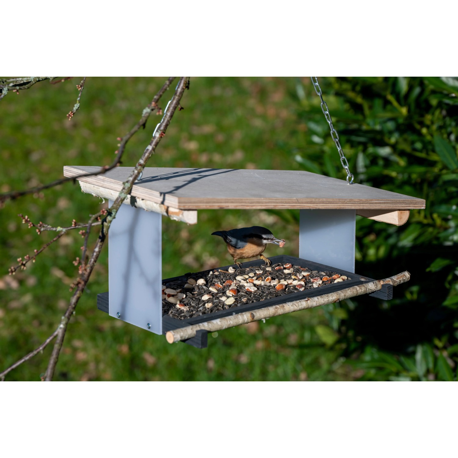 Dobar Vogelfutterhaus Futura II mit Vogel beim Fressen. Hängende Futterstation mit Futter.