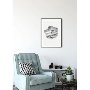 Komar Wandbild Succulent Aeonium, 30x40 cm, Nahaufnahme einer Sukkulente in Schwarz-Weiß, gerahmt.