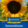 Sonnenblume 'Rheingold Flash DMR' von Kiepenkerl: Goldgelbe Blüte, ideal für Beet und Schnitt.