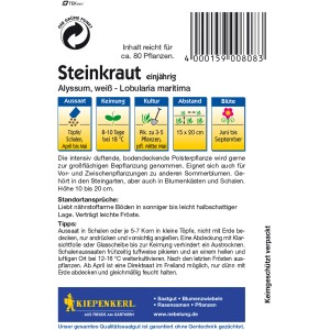 Kiepenkerl Steinkraut Alyssum Weiß Samenpackung, einjährig, für duftende, bodendeckende Bepflanzung.