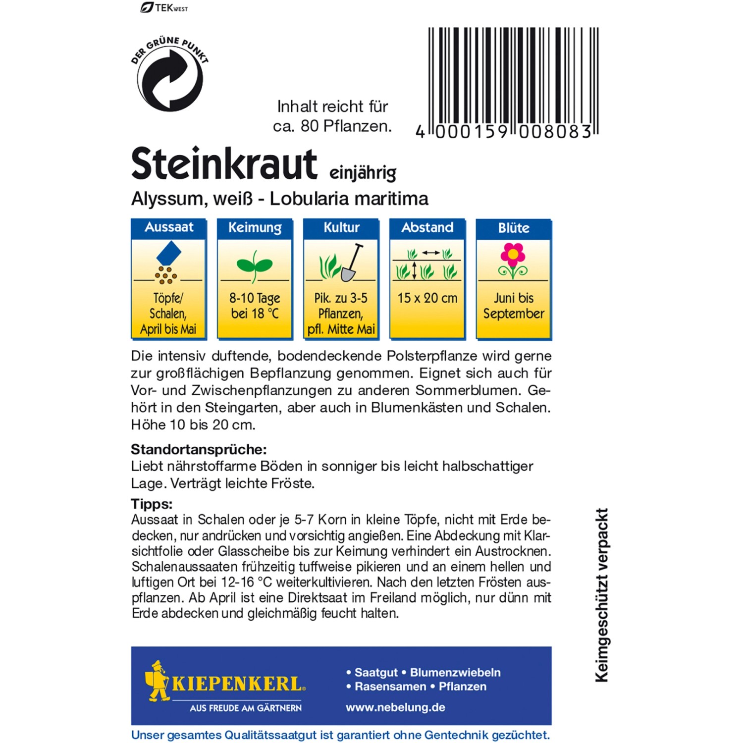 Kiepenkerl Steinkraut Alyssum Weiß Samenpackung, einjährig, für duftende, bodendeckende Bepflanzung.