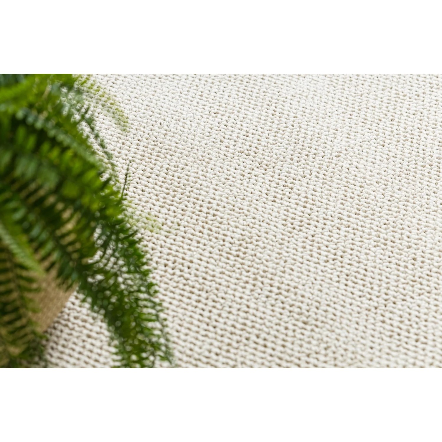 RugsX Teppich Casablanca Loom Creme 200cm 400cm_5
