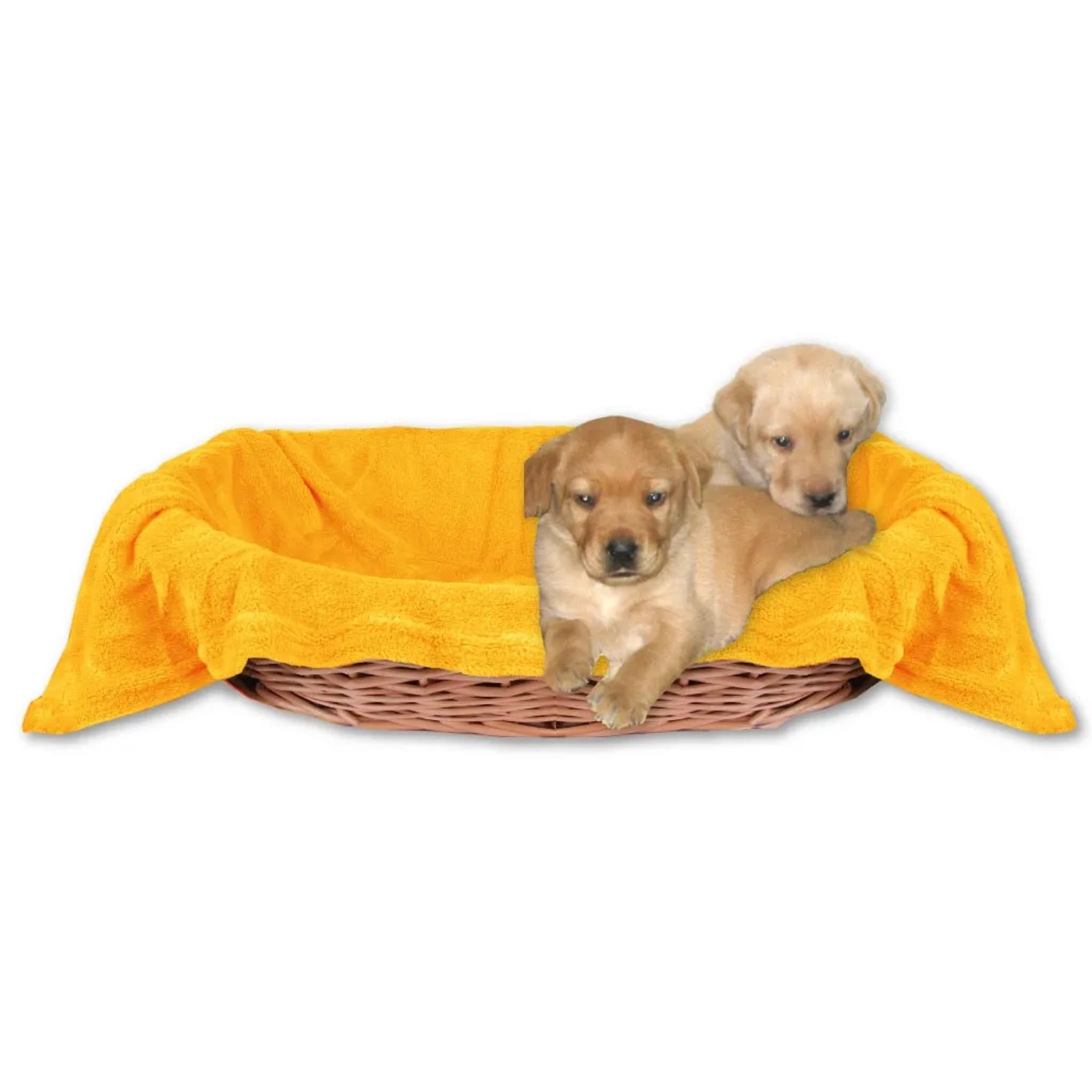 Zwei Labrador Welpen liegen auf einer hellorangen Bestlivings Hundedecke in einem Hundekorb.