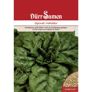 Dürr Samen Gründüngung Spinat Matador, 1 kg Saatgut Packung mit Spinatpflanze und Saatgutansicht.