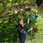 Frau nutzt GARDENA Combisystem Rollsammler zur Obsternte am Baum.