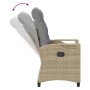 vidaXL Gartenstuhl 2 Stk Beige und Hellgrau 56 x 60 x 112 cm 42026833_9