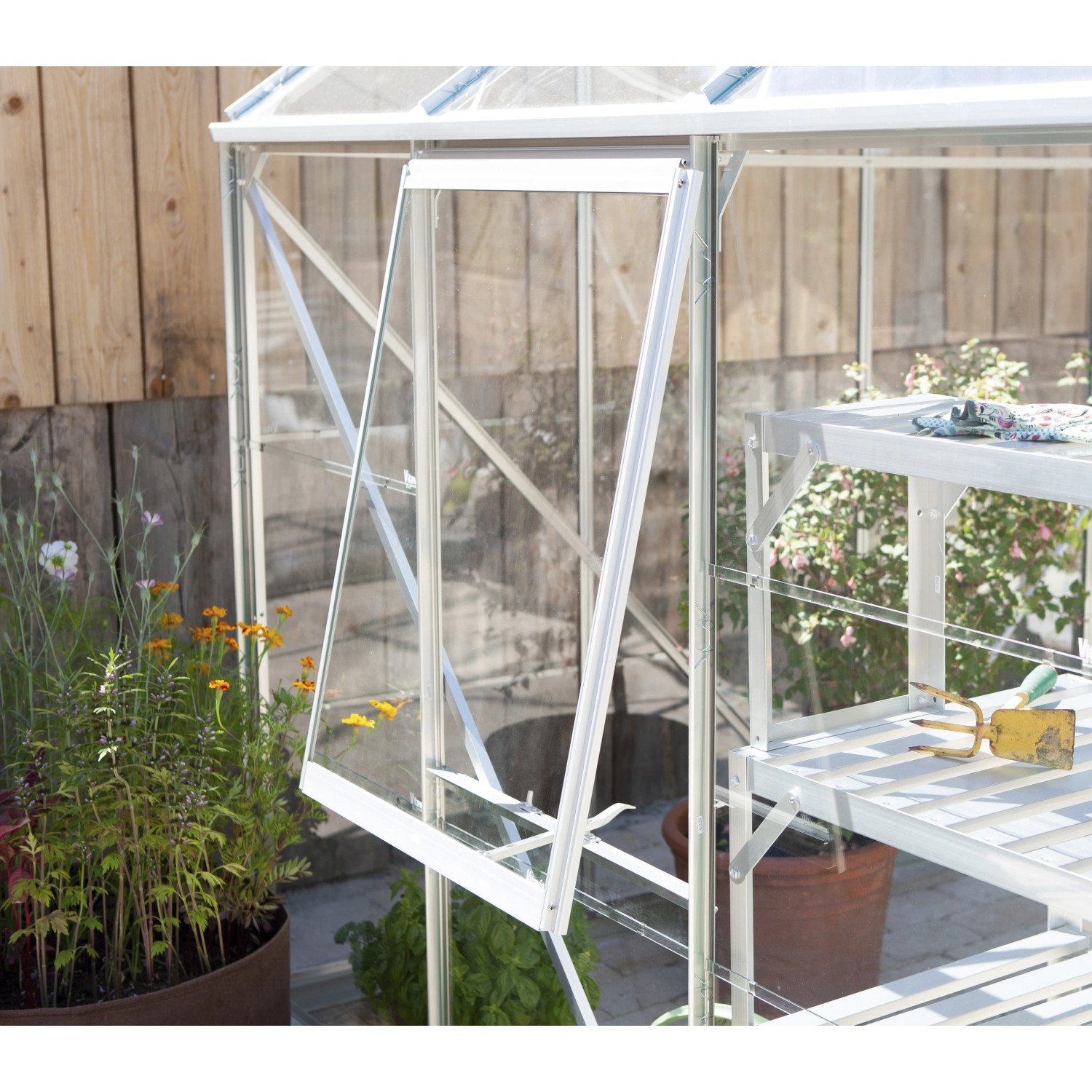 Vitavia Seitenfenster V für Gewächshaus, Alu-Rahmen, ESG 3 mm, geöffnet zur Belüftung.