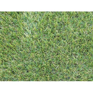 Detailaufnahme Kunstrasen-Teppich, 2x3 m, grüne Gras-Optik, Florhöhe 15mm.