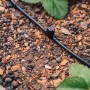 Geka Drip Set: Tropfrohr mit Regler für Gemüse- und Blumenbeet Bewässerung.
