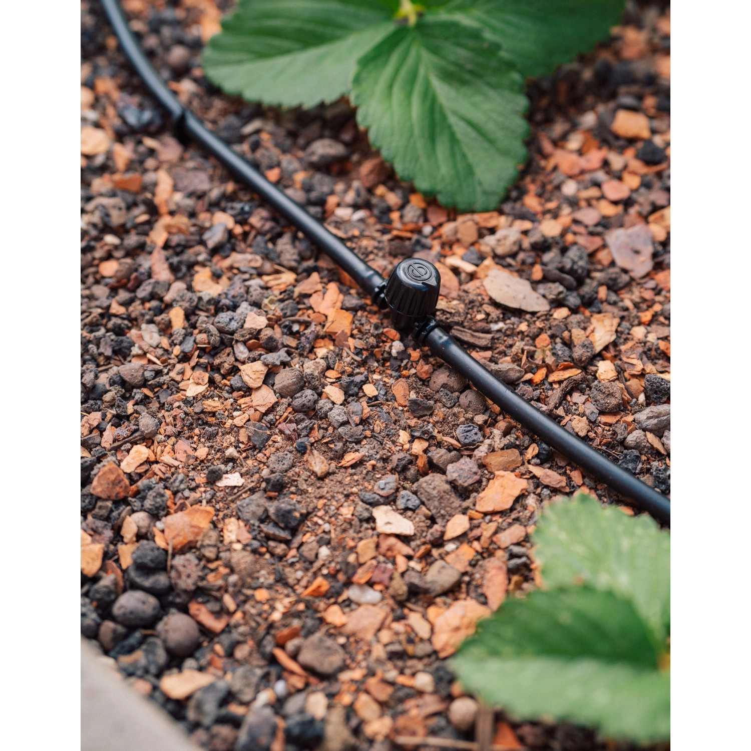 Geka Drip Set: Tropfrohr mit Regler für Gemüse- und Blumenbeet Bewässerung.