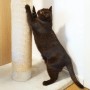 Dunkelbraune Katze kratzt an beigem Sisalstamm. Robuster Ersatz-Sisalstamm für Katzen-Kratzbaum, 50 cm, Ø 9,2 cm, M8 Gewinde.
