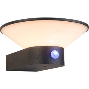 Moderne, schwarze AEG LED-Außenwandleuchte Iver mit Bewegungsmelder und Solarfunktion.